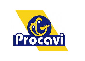 procavi