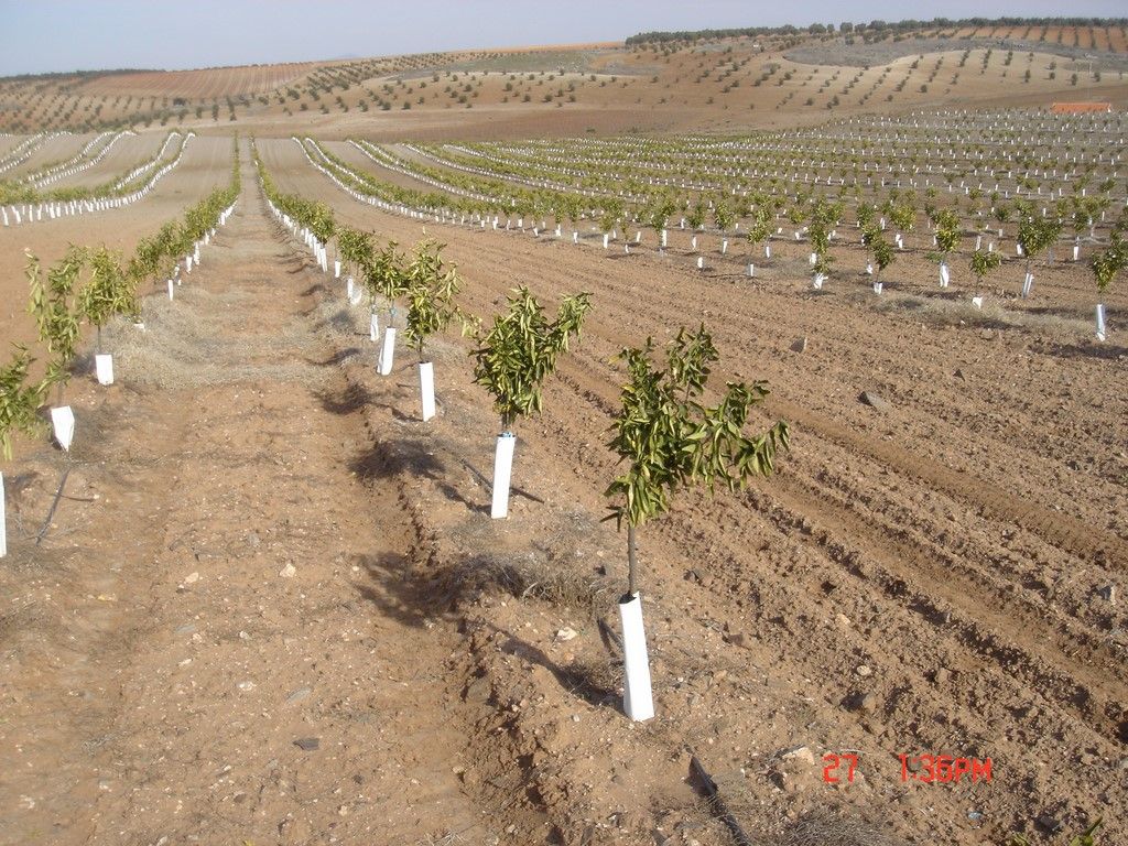 Instalaciones de riego Graginsa