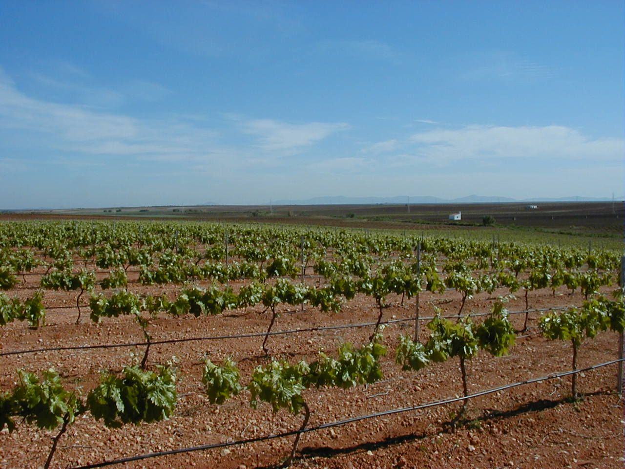 Instalaciones de riego Graginsa