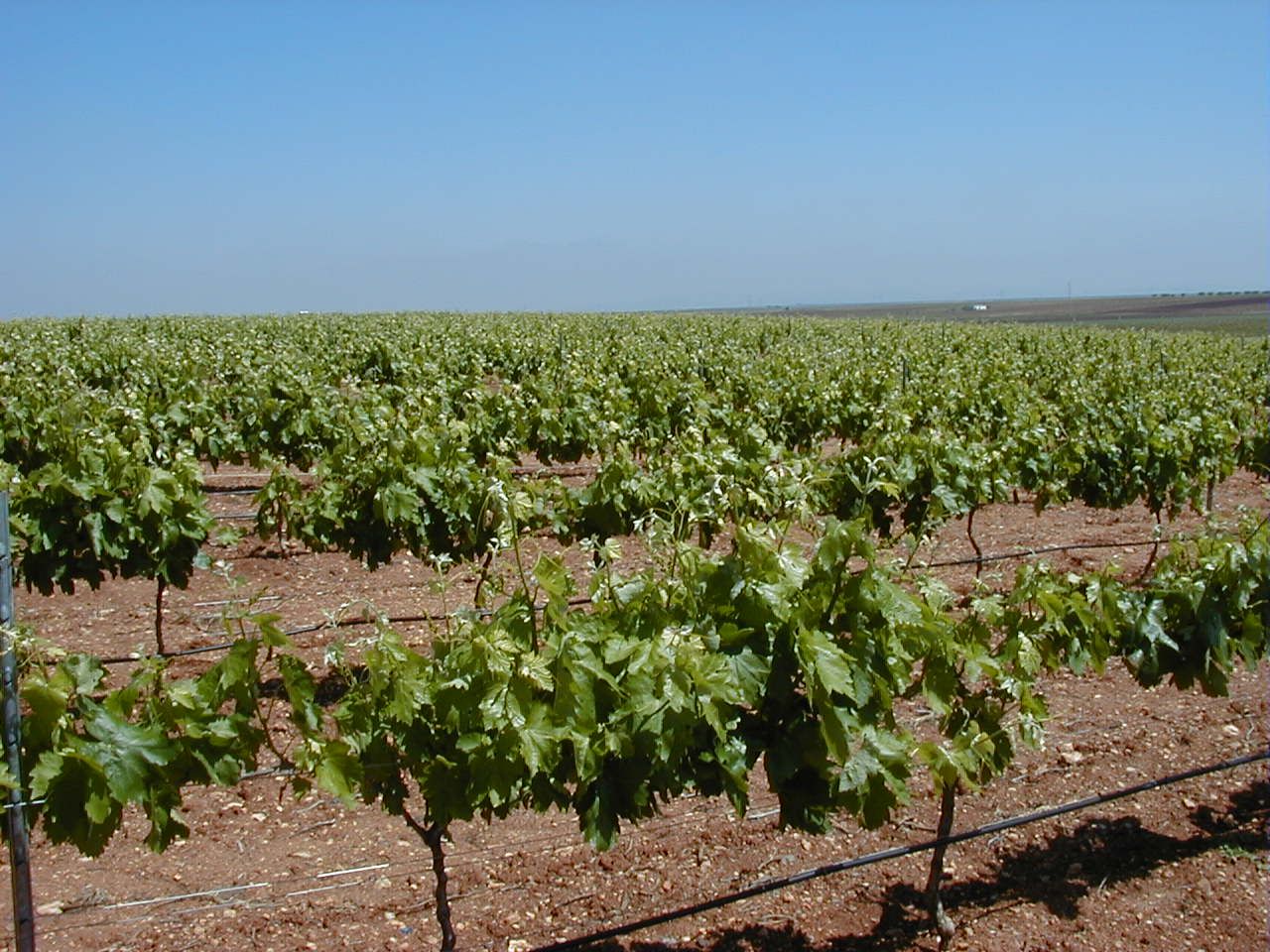 Instalaciones de riego por energía solar Graginsa